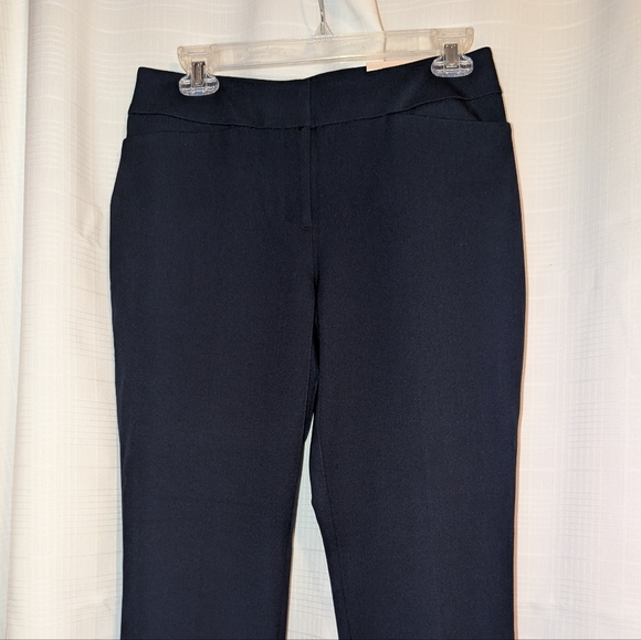 Ann Taylor Factory Straight Curvy Fit Size 4P Navy - Picture 2 of 6